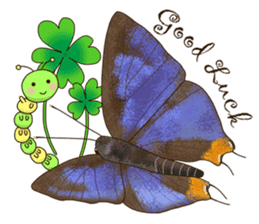 Butterflies of Taiwan & Caterpillar sticker #10424468