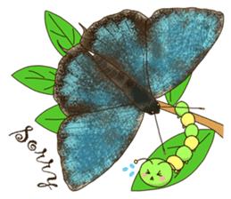 Butterflies of Taiwan & Caterpillar sticker #10424470