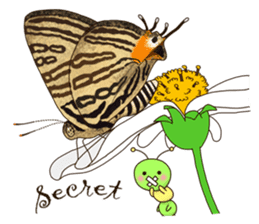 Butterflies of Taiwan & Caterpillar sticker #10424471