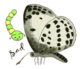 Butterflies of Taiwan & Caterpillar sticker #10424472
