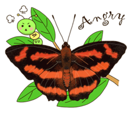 Butterflies of Taiwan & Caterpillar sticker #10424473