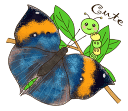 Butterflies of Taiwan & Caterpillar sticker #10424477