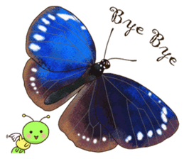 Butterflies of Taiwan & Caterpillar sticker #10424479