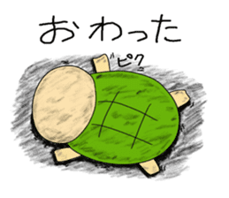 Kame-jiro 1 Reborn sticker #10424759