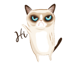 Cat in a bad mood sticker #10424840
