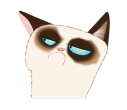 Cat in a bad mood sticker #10424847