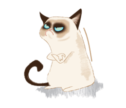 Cat in a bad mood sticker #10424849