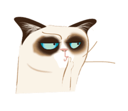 Cat in a bad mood sticker #10424858