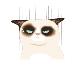 Cat in a bad mood sticker #10424863