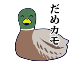 Examination Sticker sticker #10425477