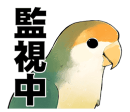 Sharp-san and Tanita-kun sticker #10426599