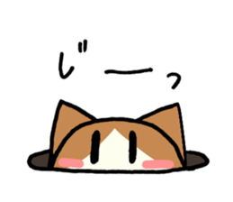 Kurumi-chan of the cat sticker #10427138