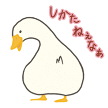 Funny Ducks 5th sticker #10427565