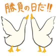 Funny Ducks 5th sticker #10427579