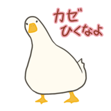 Funny Ducks 5th sticker #10427589