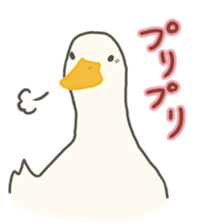 Funny Ducks 5th sticker #10427592