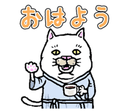 Middle-aged white cat sticker #10428400