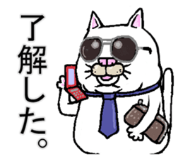 Middle-aged white cat sticker #10428401