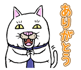 Middle-aged white cat sticker #10428408