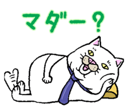 Middle-aged white cat sticker #10428409