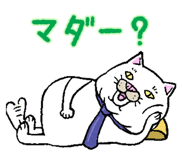 Middle-aged white cat sticker #10428409