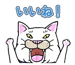 Middle-aged white cat sticker #10428413