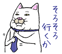 Middle-aged white cat sticker #10428423
