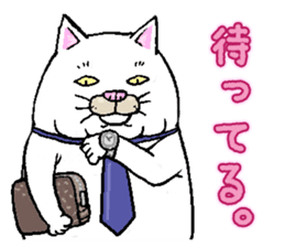 Middle-aged white cat sticker #10428424