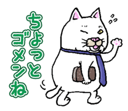 Middle-aged white cat sticker #10428425