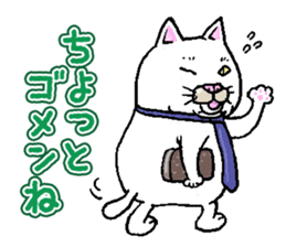 Middle-aged white cat sticker #10428425