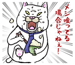 Middle-aged white cat sticker #10428426