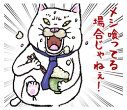 Middle-aged white cat sticker #10428426