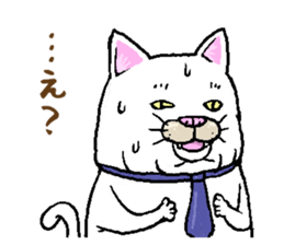 Middle-aged white cat sticker #10428431