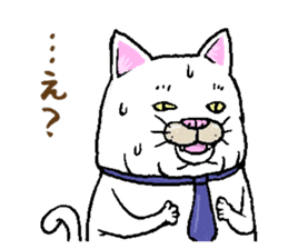 Middle-aged white cat sticker #10428431