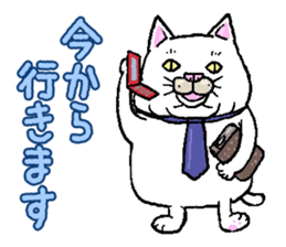 Middle-aged white cat sticker #10428432
