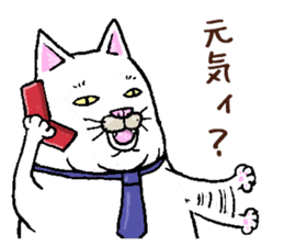 Middle-aged white cat sticker #10428434