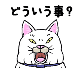 Middle-aged white cat sticker #10428435