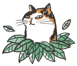 Meow Bai-tarn sticker #10428821