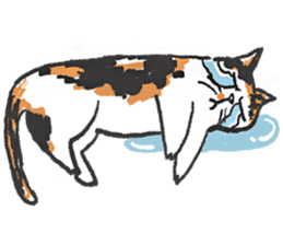 Meow Bai-tarn sticker #10428823