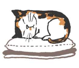 Meow Bai-tarn sticker #10428826