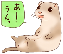 Ferret Sticker jp 3 sticker #10429000