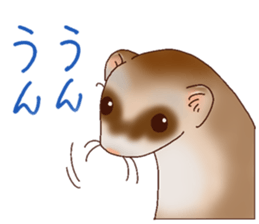 Ferret Sticker jp 3 sticker #10429001
