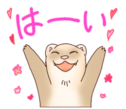 Ferret Sticker jp 3 sticker #10429003
