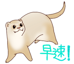 Ferret Sticker jp 3 sticker #10429009