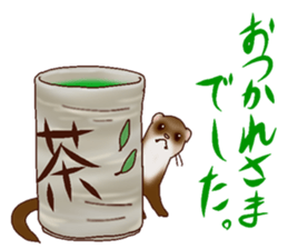 Ferret Sticker jp 3 sticker #10429011