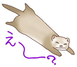 Ferret Sticker jp 3 sticker #10429012
