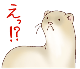 Ferret Sticker jp 3 sticker #10429013