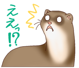 Ferret Sticker jp 3 sticker #10429014