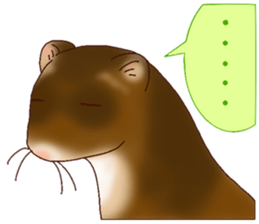 Ferret Sticker jp 3 sticker #10429015