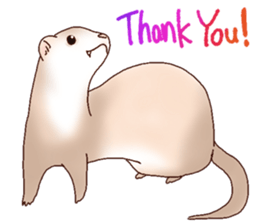 Ferret Sticker jp 3 sticker #10429017